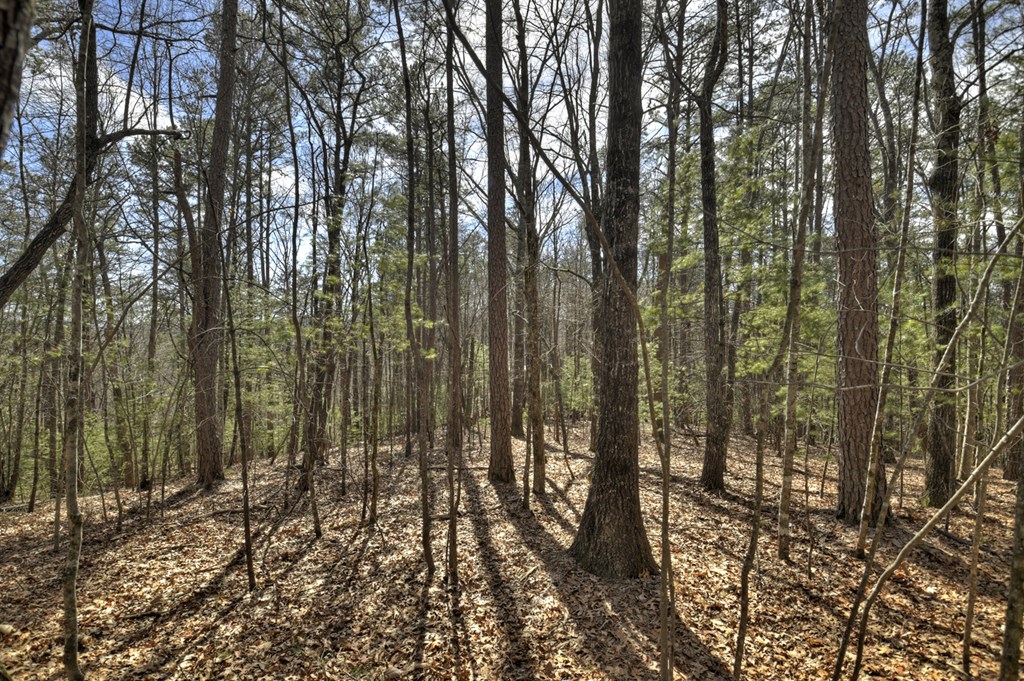 331 Chestnut Gap Road Property Photo 43