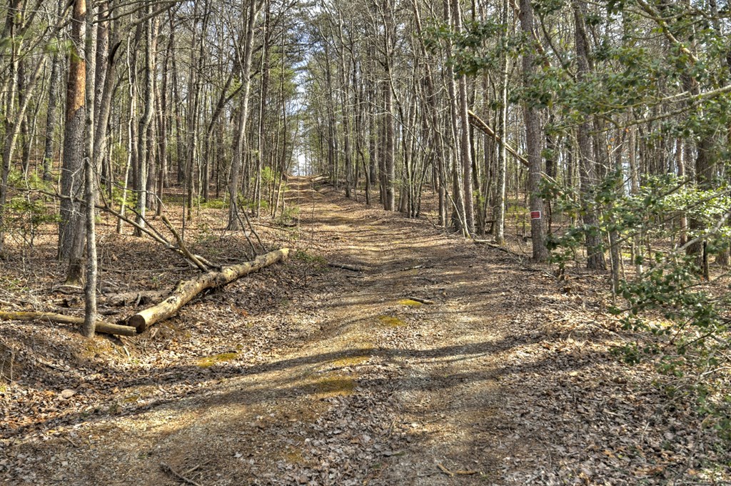 331 Chestnut Gap Road Property Photo 46