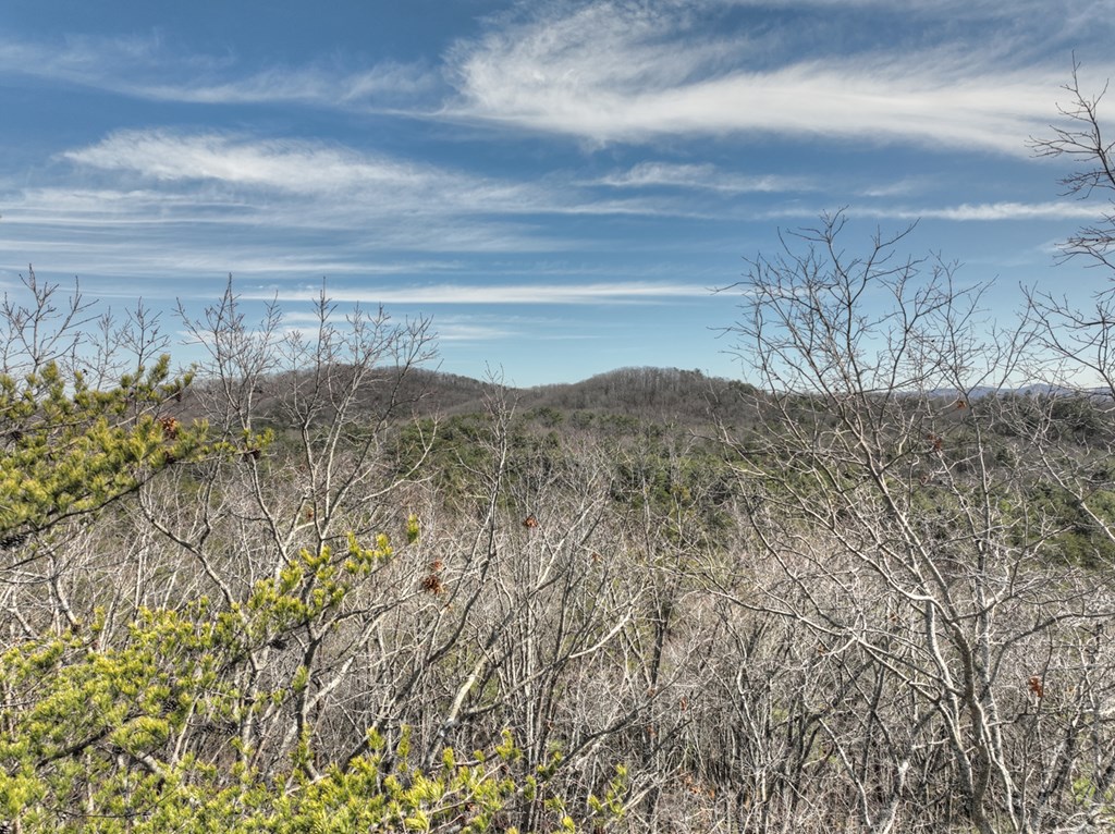 331 Chestnut Gap Road Property Photo 55