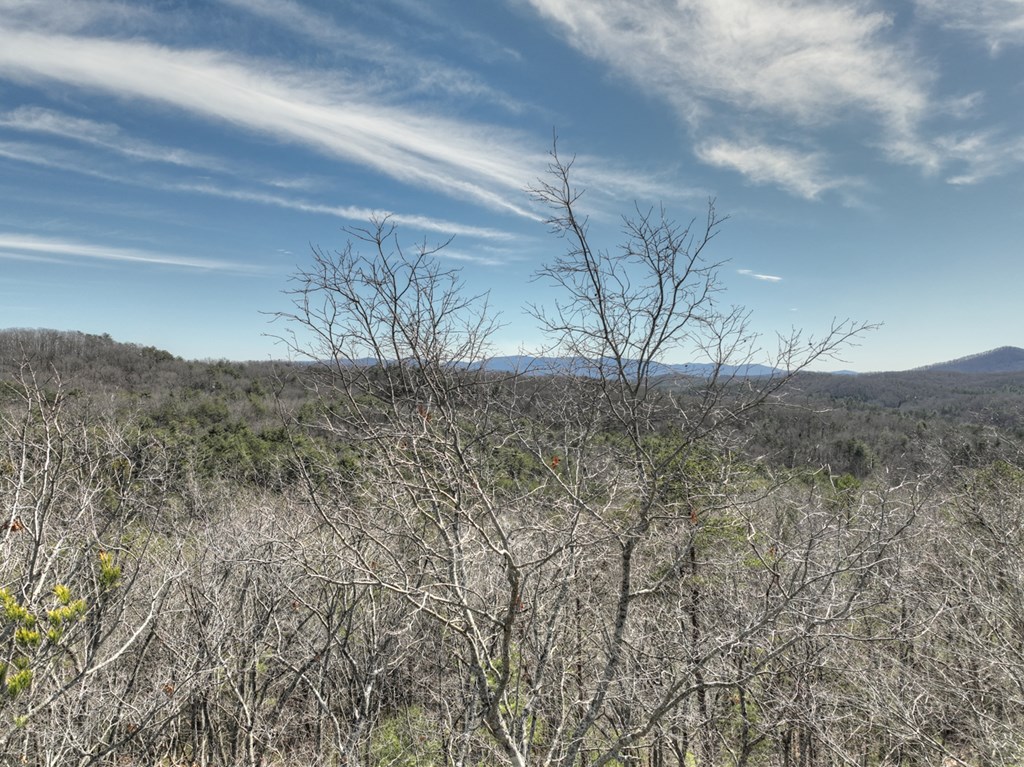 331 Chestnut Gap Road Property Photo 56