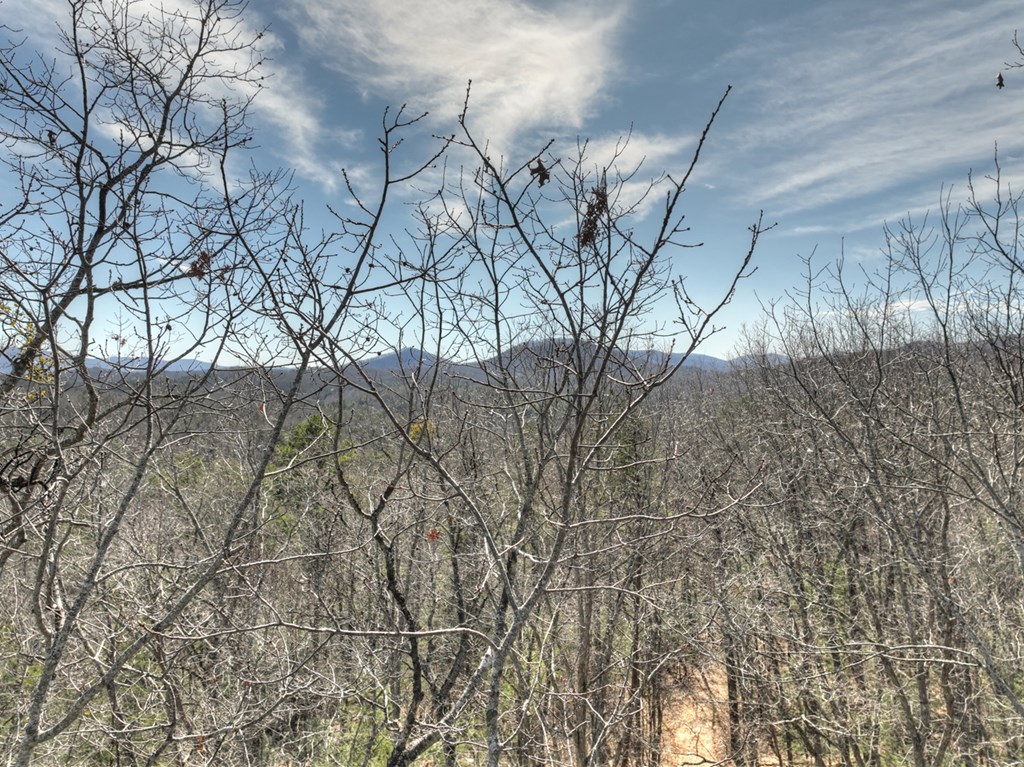 331 Chestnut Gap Road Property Photo 57