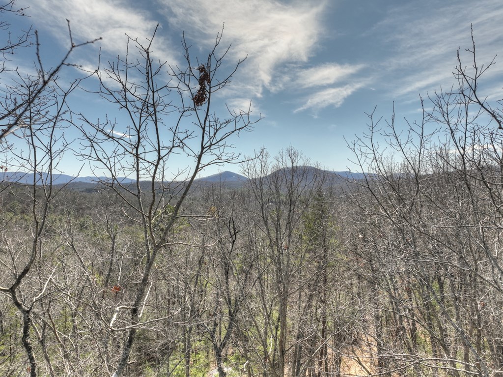 331 Chestnut Gap Road Property Photo 58