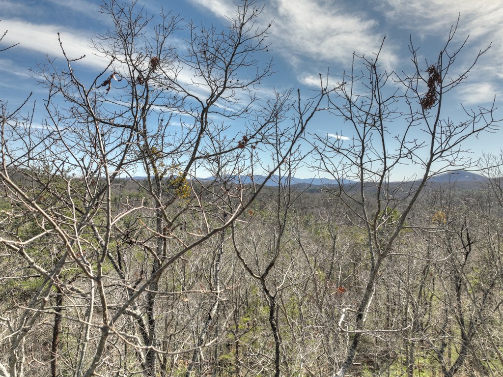 331 Chestnut Gap Road Property Photo 59