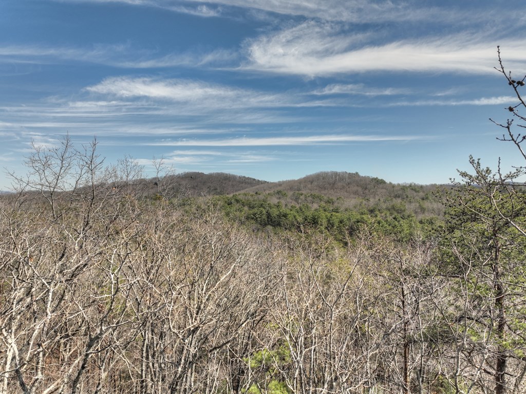 331 Chestnut Gap Road Property Photo 60
