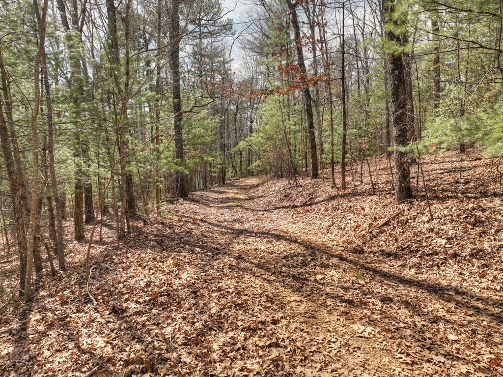 331 Chestnut Gap Road Property Photo 62