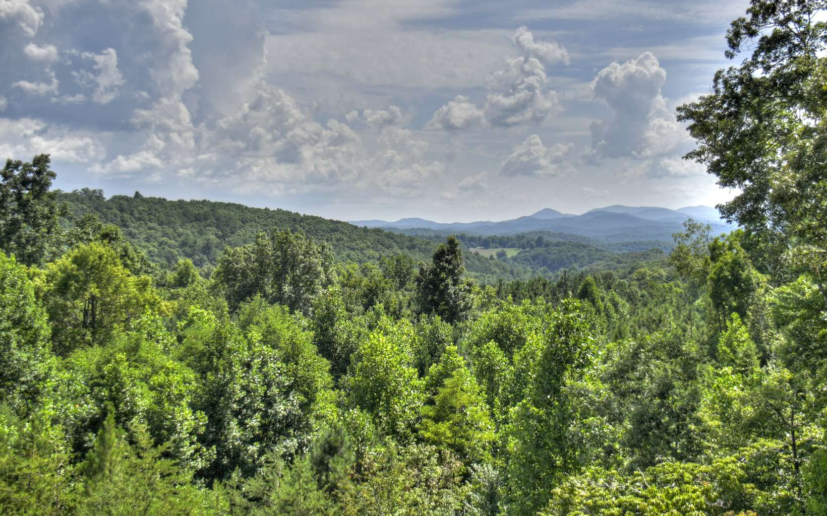479 Big Timber Road Property Photo 13