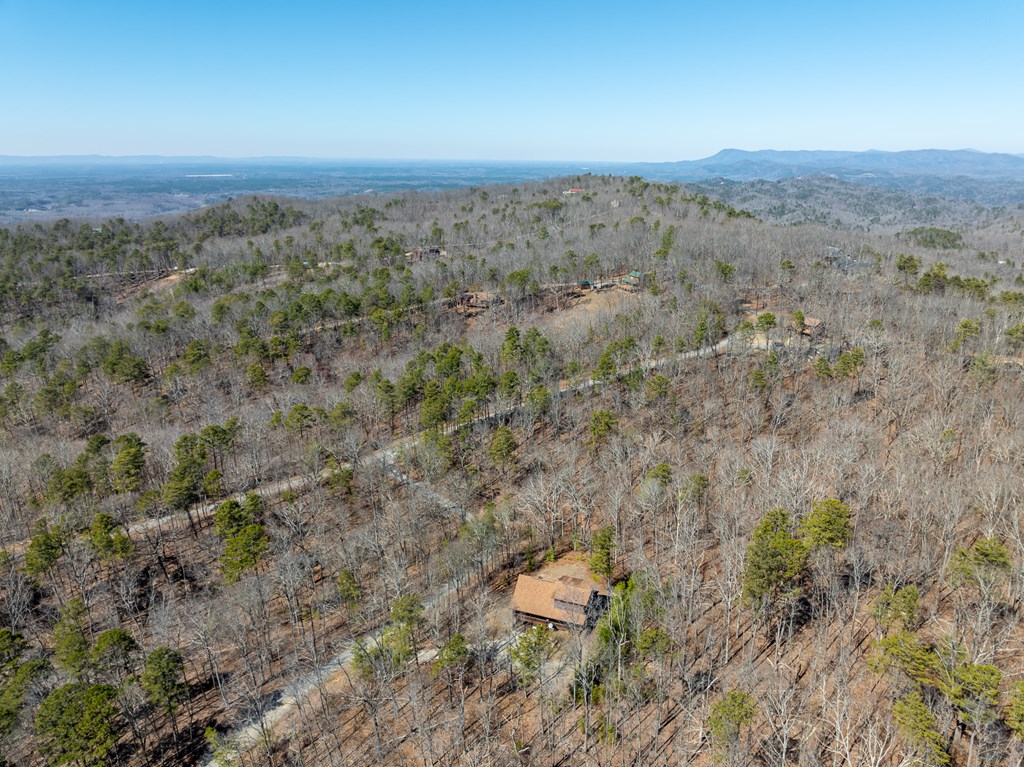 1529 Faith Court Property Photo 42