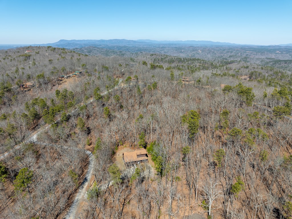 1529 Faith Court Property Photo 44