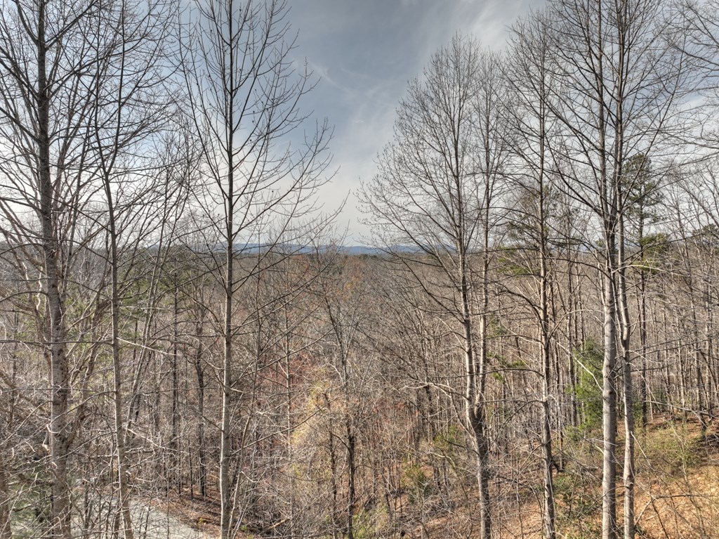 374 Cherokee Court Property Photo 36