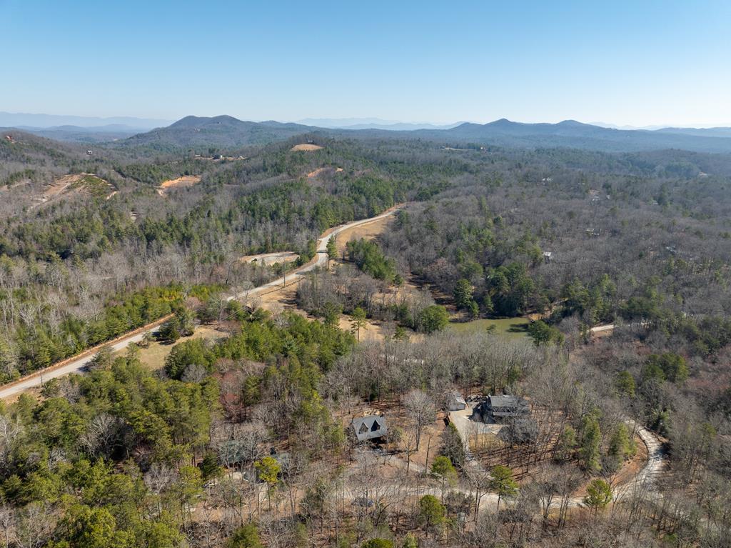 138 Laurel Ridge Property Photo 51