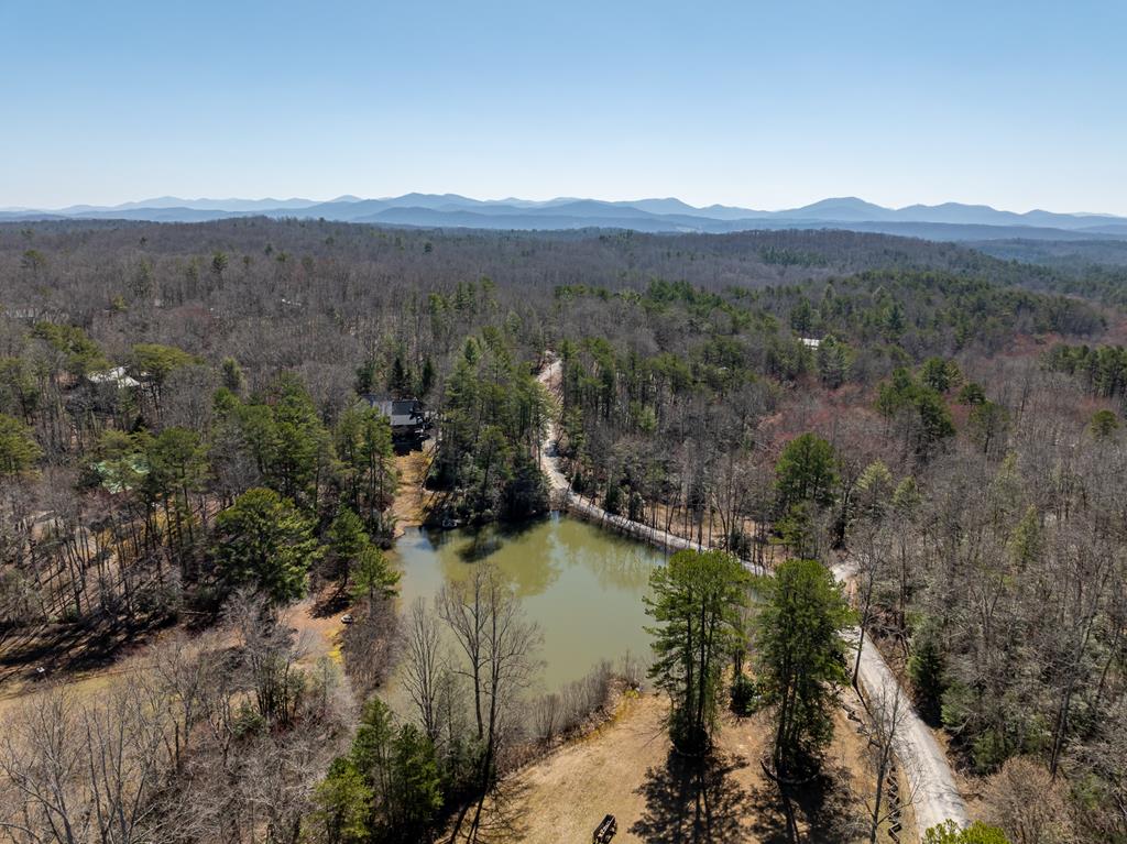 138 Laurel Ridge Property Photo 53