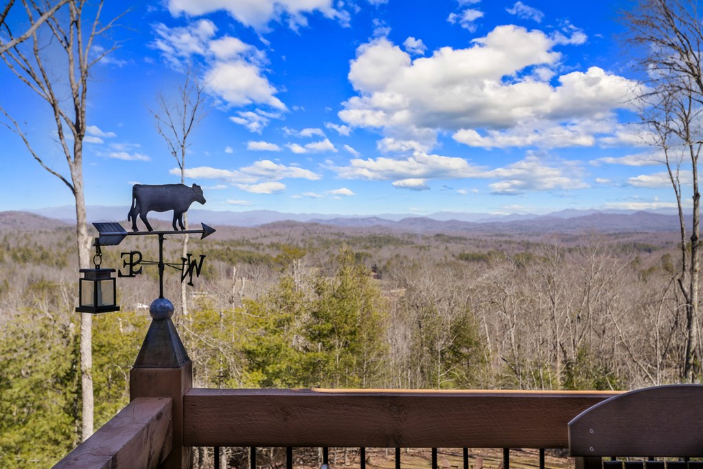 287 Scouts Overlook Lane Property Photo 2