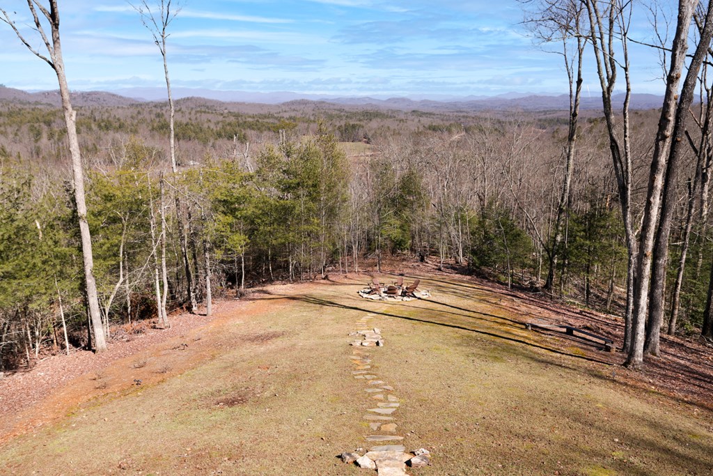 287 Scouts Overlook Lane Property Photo 67