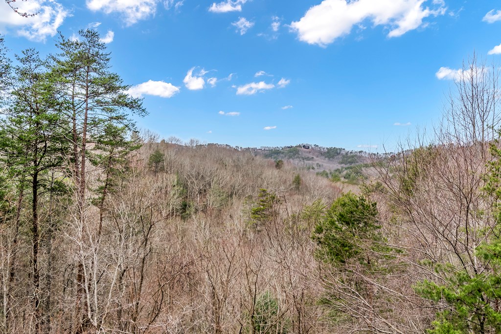 3680 Aska Road Property Photo 4