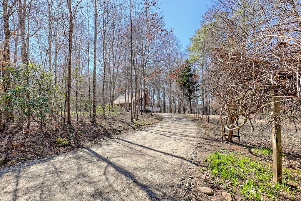 119 Wilson Way Property Photo 72