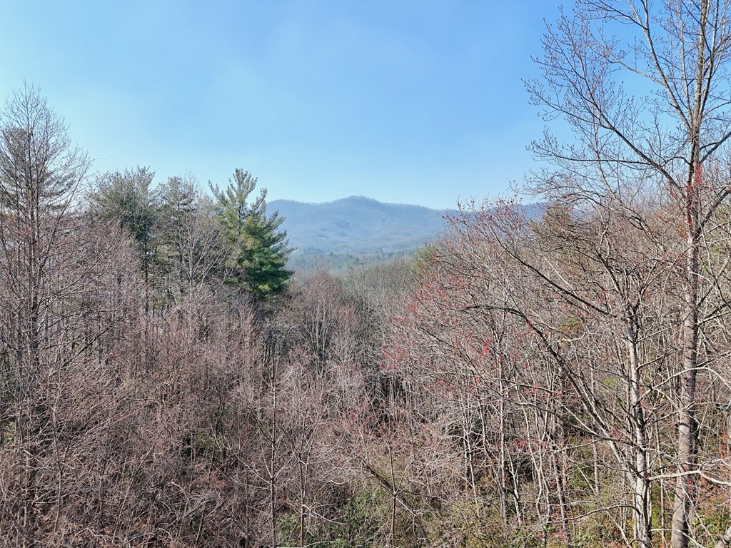 441 Golden Eagle Property Photo 2