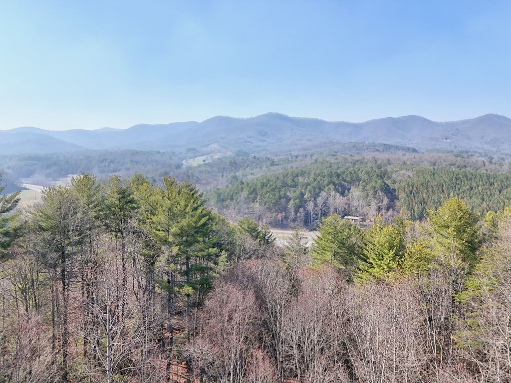 441 Golden Eagle Property Photo 3