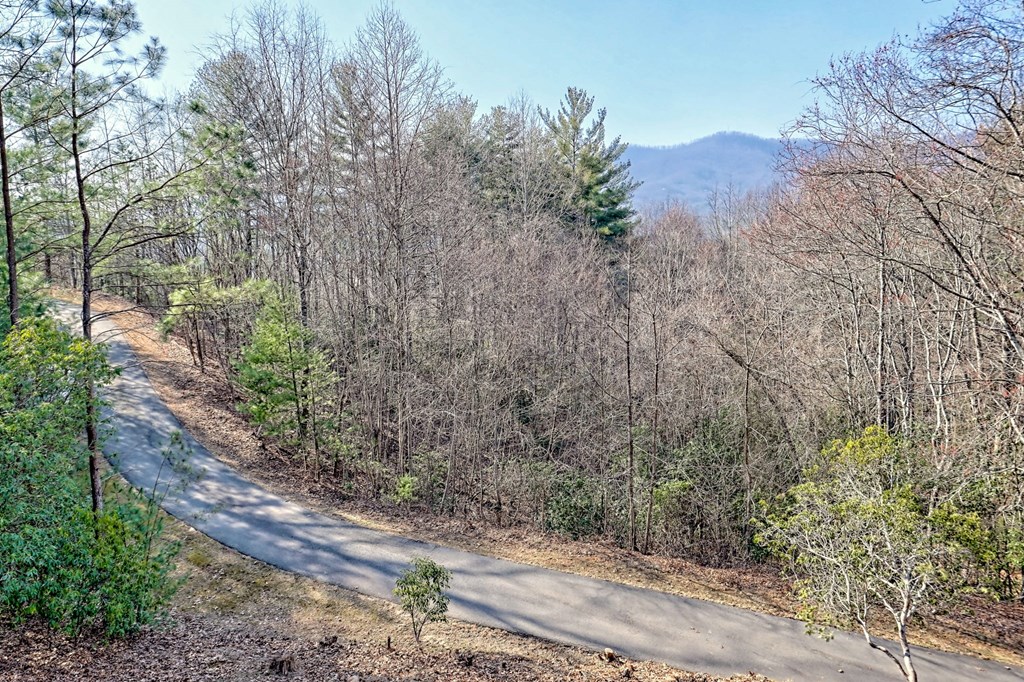 441 Golden Eagle Property Photo 39