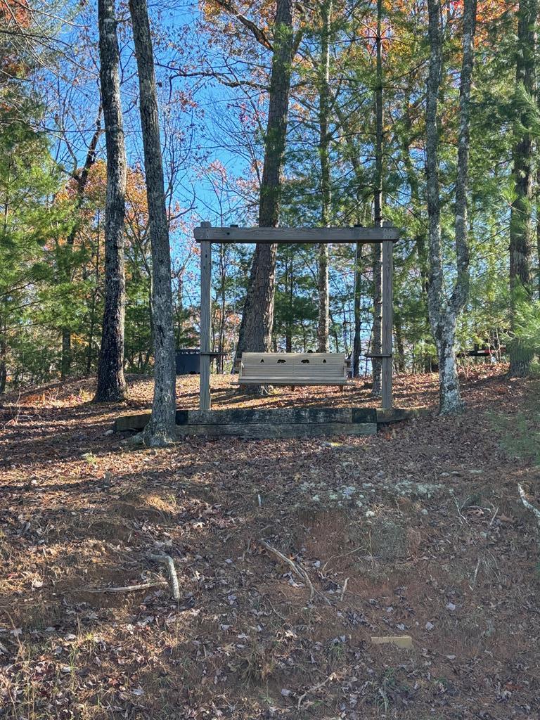 441 Golden Eagle Property Photo 96
