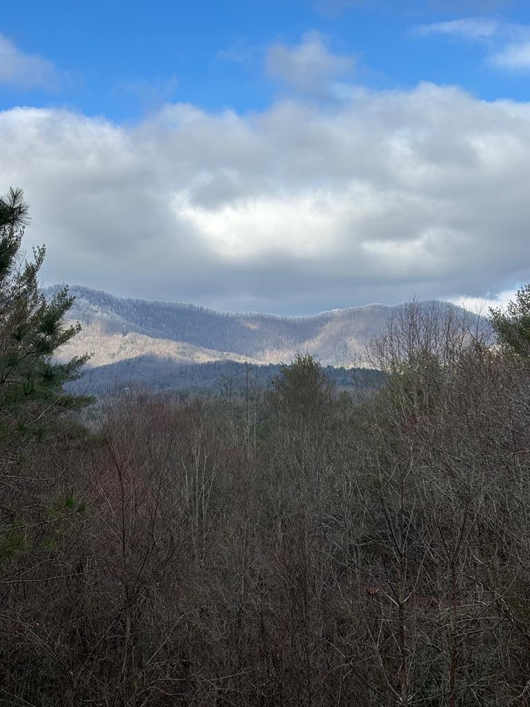 441 Golden Eagle Property Photo 98