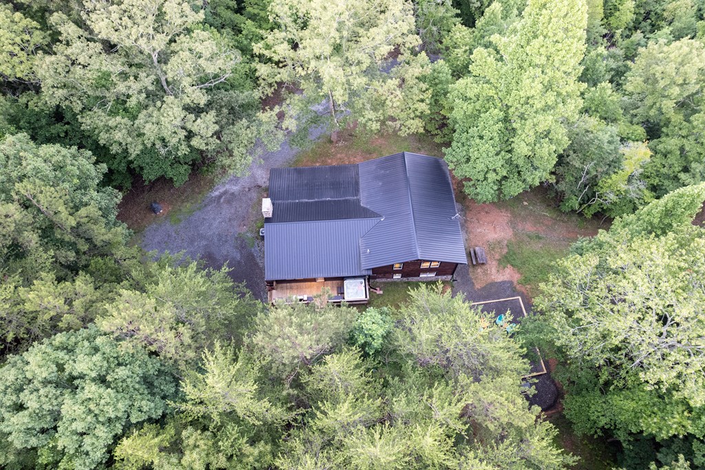 85 That Lane Property Photo 51
