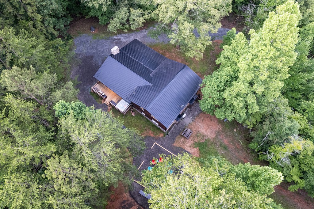 85 That Lane Property Photo 52