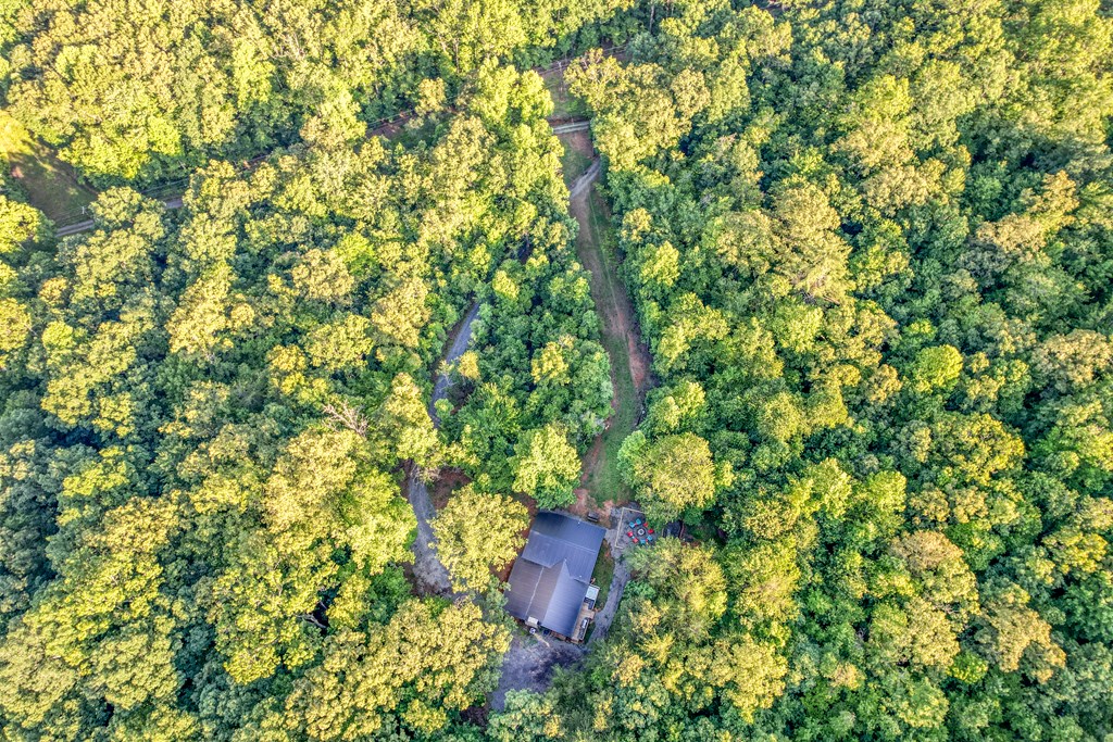 85 That Lane Property Photo 100