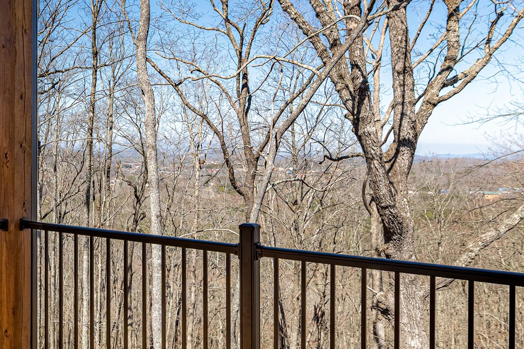 217 Eagles Nest Lane Property Photo 27