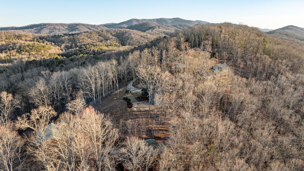 217 Eagles Nest Lane Property Photo 62