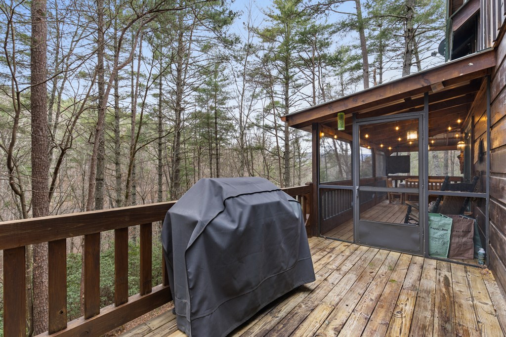 37 Misty Mountain Overlook Property Photo 18