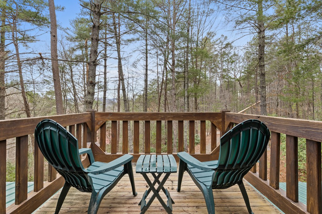 37 Misty Mountain Overlook Property Photo 32