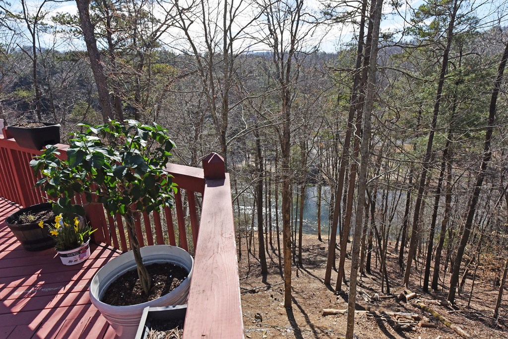 106 Opaque Way Property Photo 2