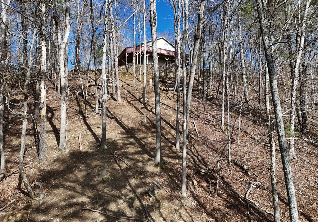 106 Opaque Way Property Photo 22