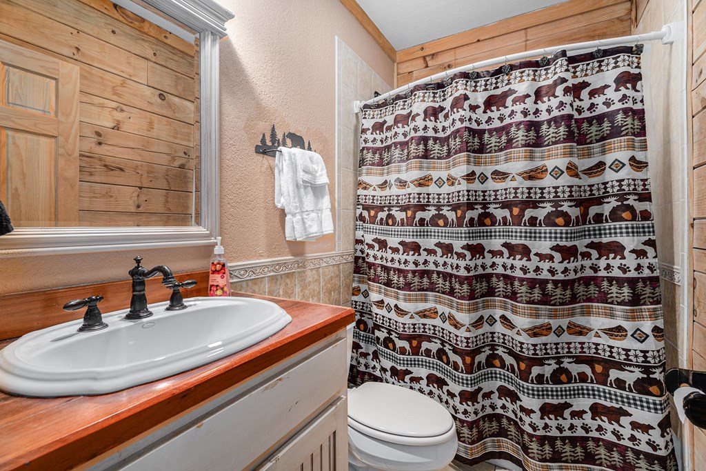 1007 Sky High Drive Property Photo 19