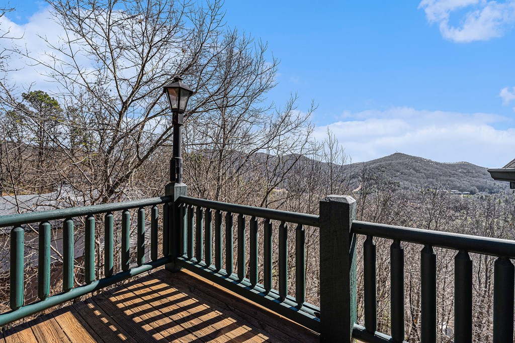1007 Sky High Drive Property Photo 37