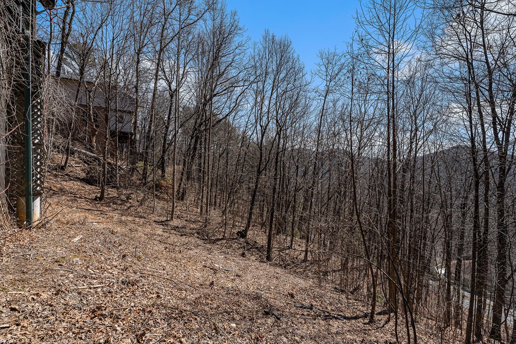 1007 Sky High Drive Property Photo 38