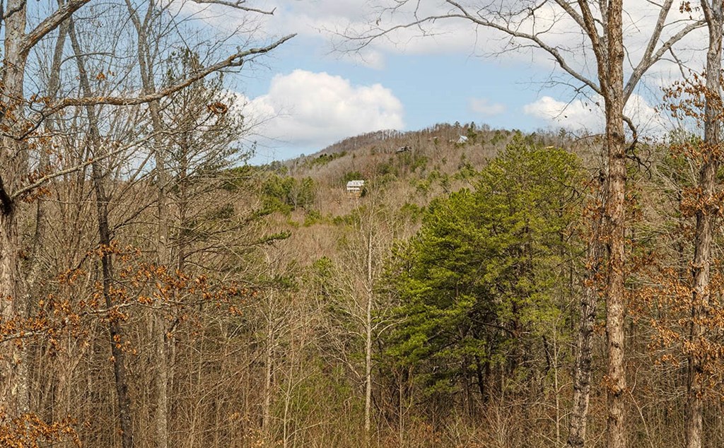 322 Bootlegger Road Property Photo 3