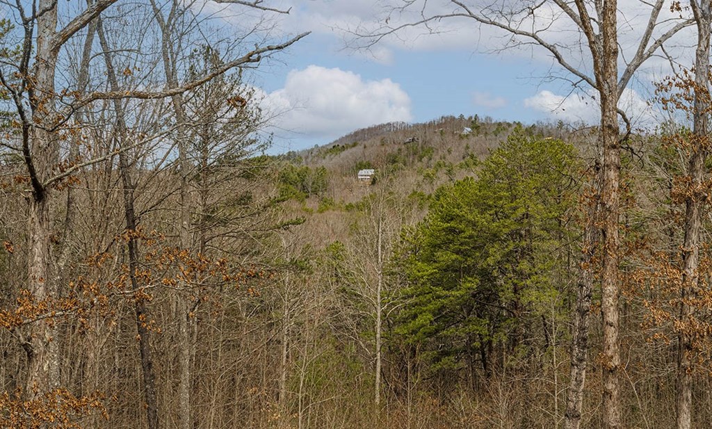 322 Bootlegger Road Property Photo 45