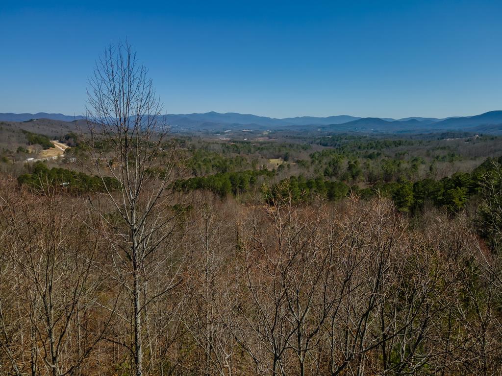Lot 39 The Hills At Queens Gap Property Photo