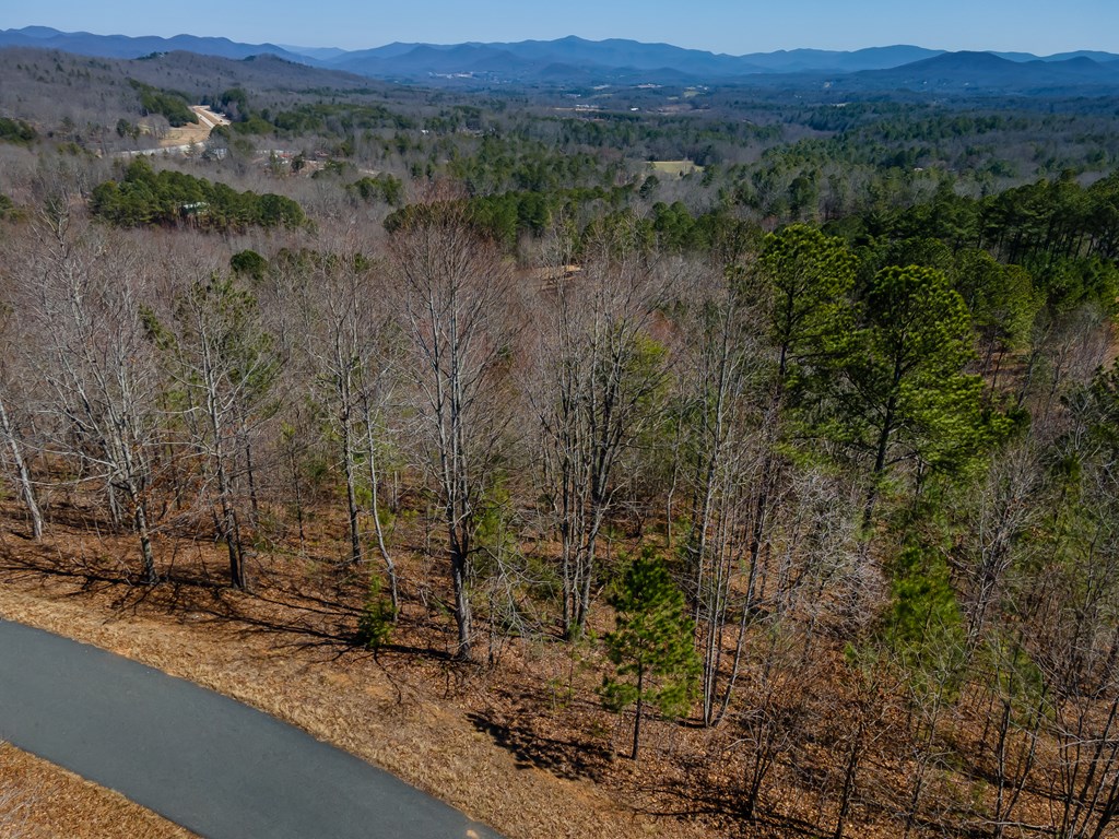Lot 39 The Hills At Queens Gap Property Photo 3
