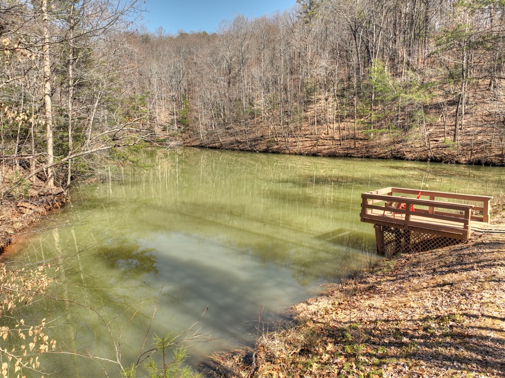 638 Cohutta Mountain Road Property Photo 28