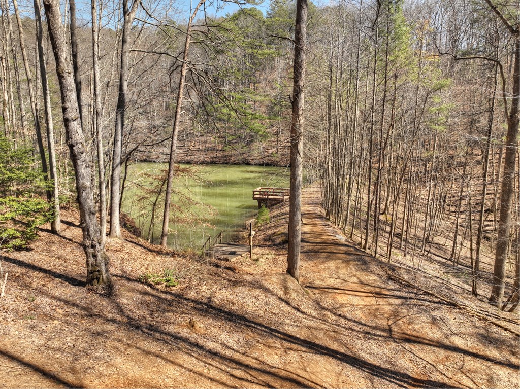 638 Cohutta Mountain Road Property Photo 45