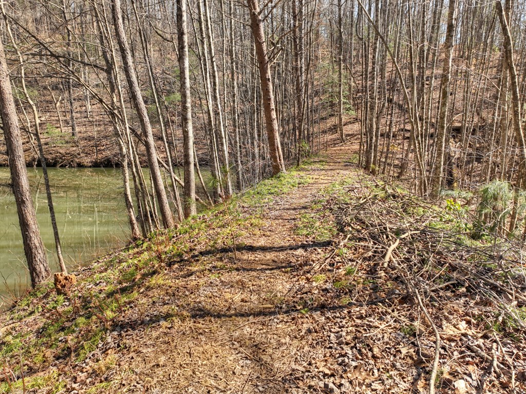 638 Cohutta Mountain Road Property Photo 47