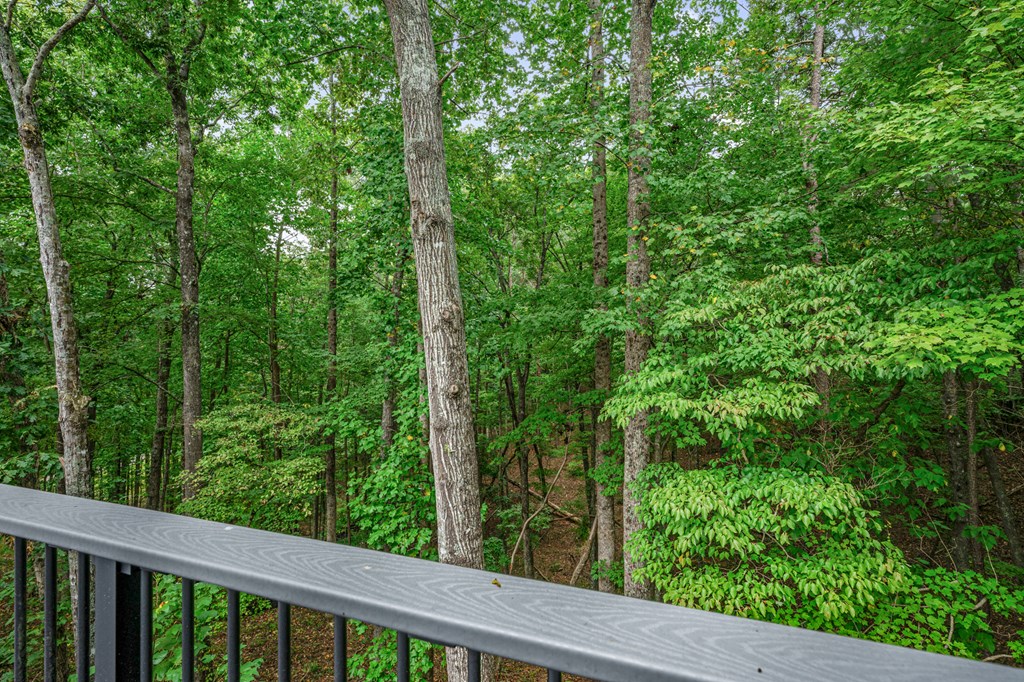 55 Rhododendron Lane Property Photo 29