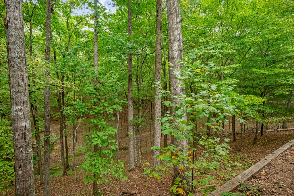 55 Rhododendron Lane Property Photo 71