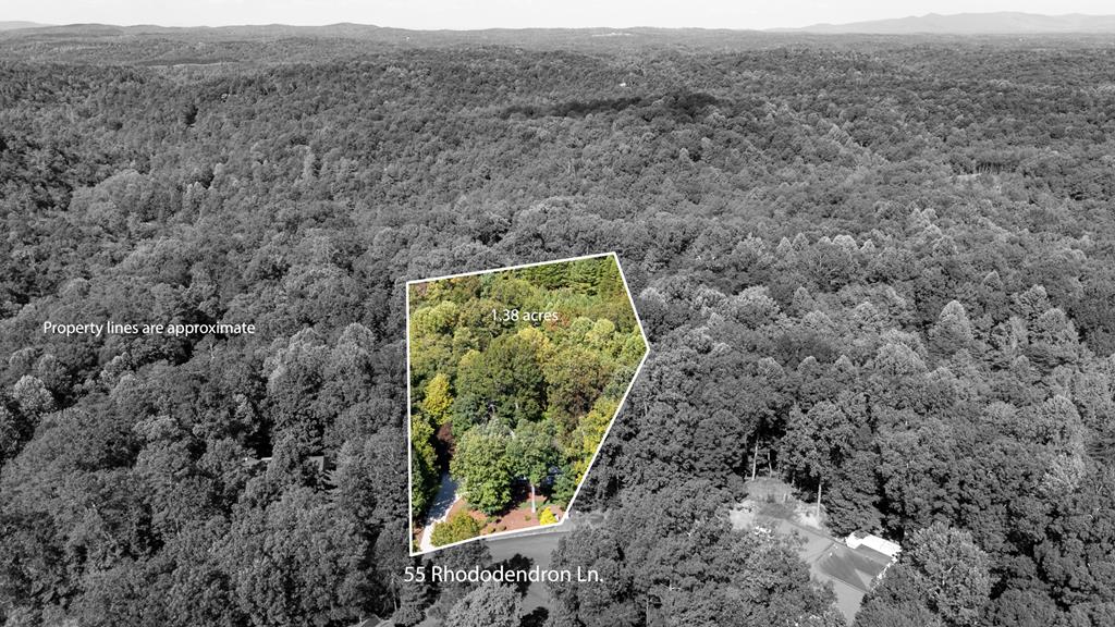 55 Rhododendron Lane Property Photo 74