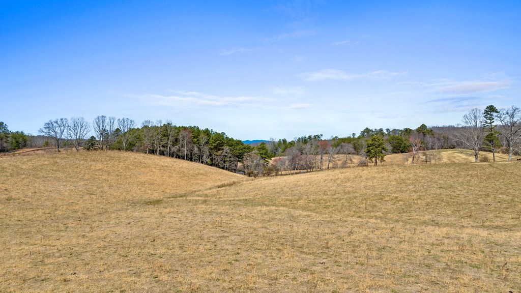 1994 Douthit Road Property Photo 2