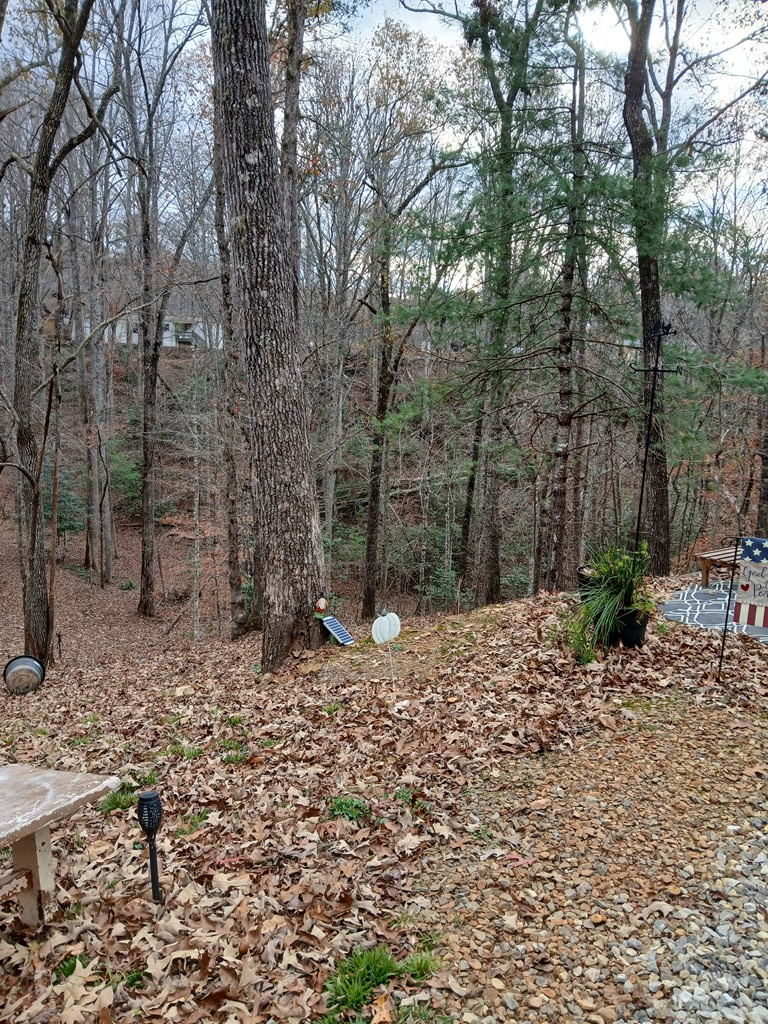 530 Mcclure Road Property Photo 2