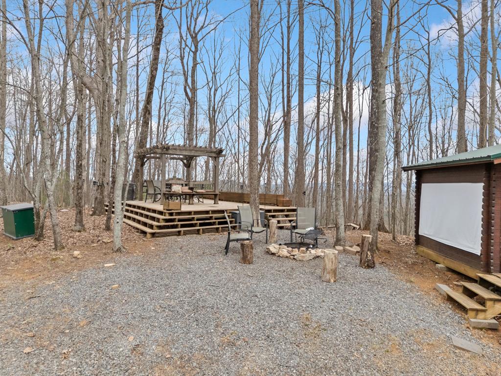 541 Little Bushy Head Road Property Photo 34