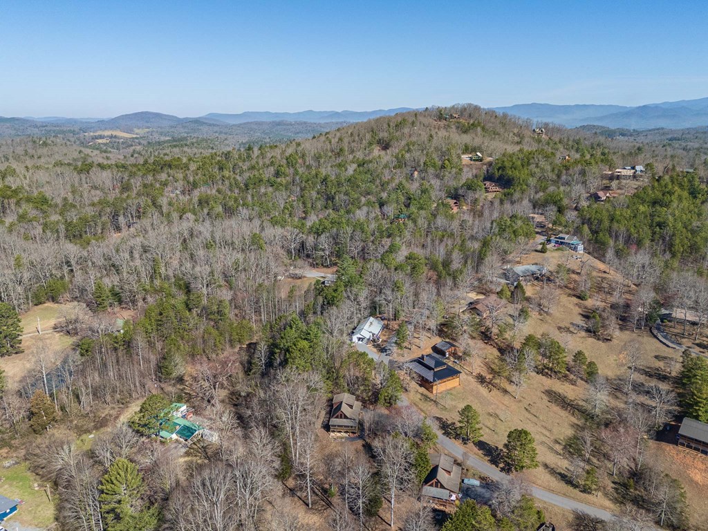 221 Country Mountain Rdg Property Photo 38